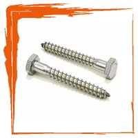 STAINLESS STEEL 304 LAG BOLTS